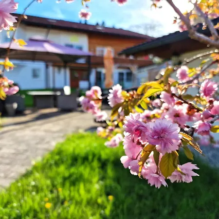 Hofer Am Zeitberg Ferienwohnung Sonneck